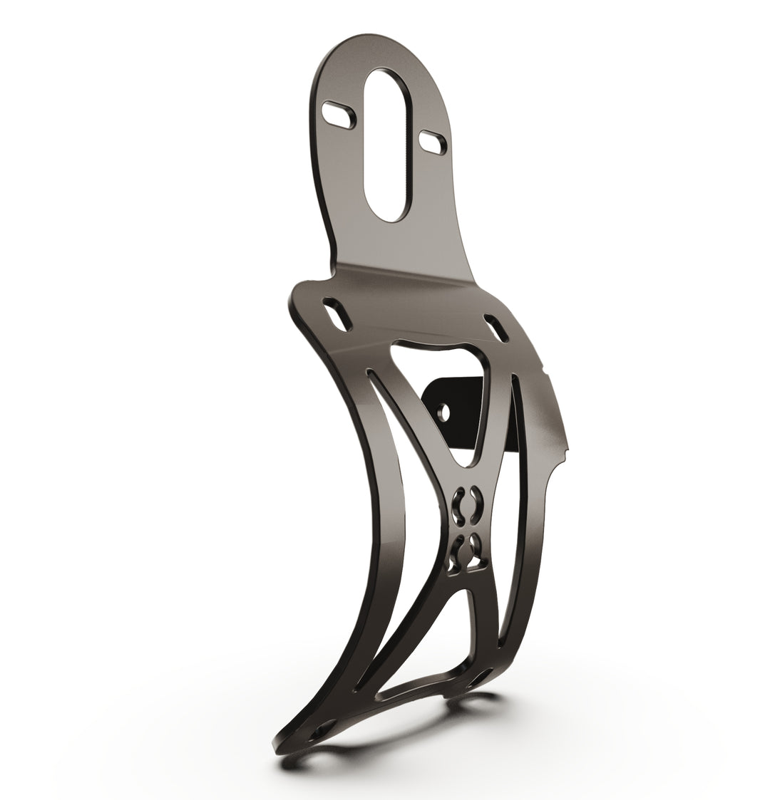 Triumph Bonneville T100 Vertical License plate bracket  (CURVED) w/Brake Light