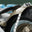 Honda Shadow Spirit VT750DC (Chain) Engine Accent #1
